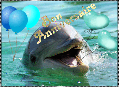 Marineland rencontre avec les dauphins anniversaire