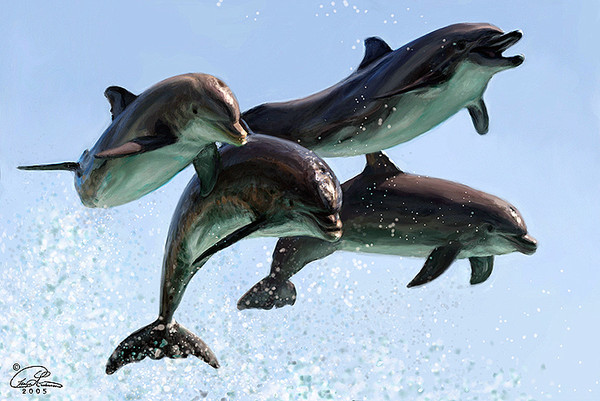 Rsultat de recherche dimages pour dauphins qui samusent
