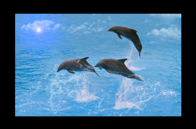 new love site de rencontre